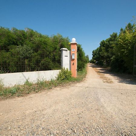 Fattoria Corte Noa ξενώνας Masainas Εξωτερικό φωτογραφία