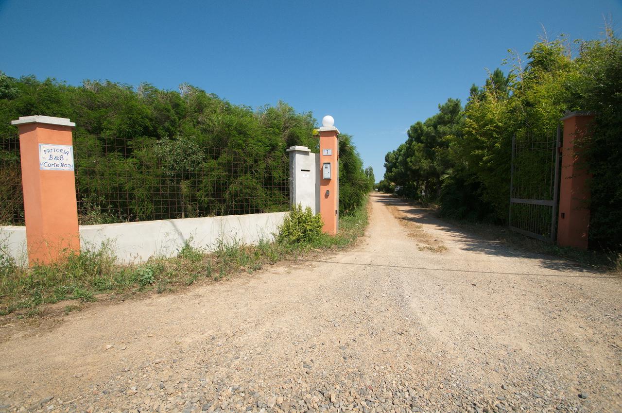 Fattoria Corte Noa ξενώνας Masainas Εξωτερικό φωτογραφία